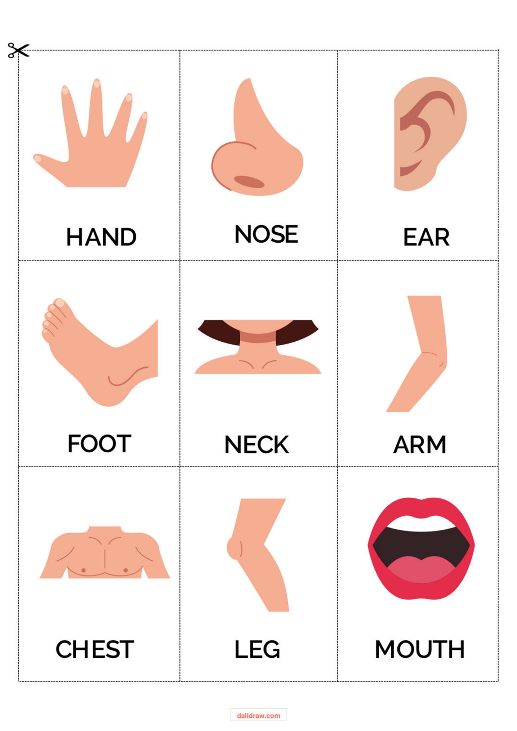 Body parts poster sample