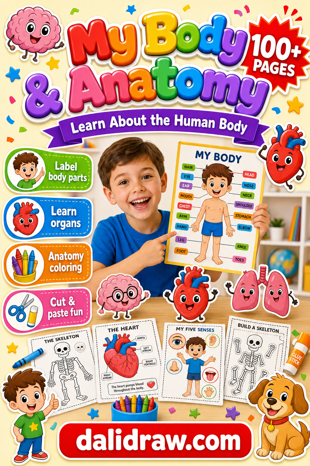 My Body & Human Anatomy learning pack cover